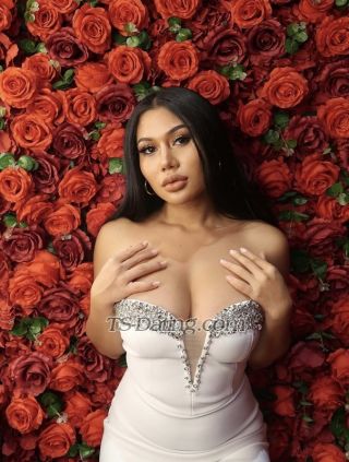 trans girl lovebites 3395516 trans girl lovebites 3395516