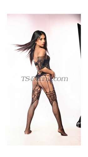 trans girl MISTYROY 5764537 trans girl MISTYROY 5764537