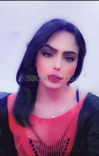 trans girl MOHRAVIP 6399685