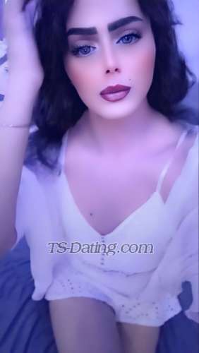 trans girl MOHRAVIP 9049262