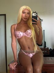 Madison2542 Phuket Transex Hi there 👋🏽 A girl who got BIG Weapon here 🍆
I’m May 25 years old from phuket Thailand. your dream island girl 👩🏽. I am natural face. Tanned skin 175cm. Height with curve and sharp body. Fluent in English. 
 I’m Super Top ⬆️ but also Sweet bottom ⬇️

📍Service Options📍
✅Girlfriend experience 
✅Group sex
✅Couple sex as Threesomes 
✅Sex with woman
✅Dominated 
✅Sex cam
✅Open minded for your Fantasy 🦋

💰Digital Finance Available💰
✅Paypal
✅Wise
✅Western union 
✅Crypto 
✅Bitcoin 
  If you are finding young shemale. Here i am for you
Please contact me if you are interesting.
📍Line : @662edhqf
📍Instagram : @Maythanya1999
📍Snapchat : may_thanya1999
📍Twitter : @Maythanya1999
📍Onlyfans : Onlyfans.com/tungmay1999
I’m waiting for you.  Let me make your dreams come true. 💦
