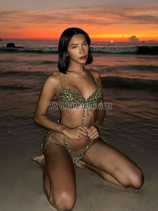 trans girl Madison2542 2603791 trans girl Madison2542 2603791