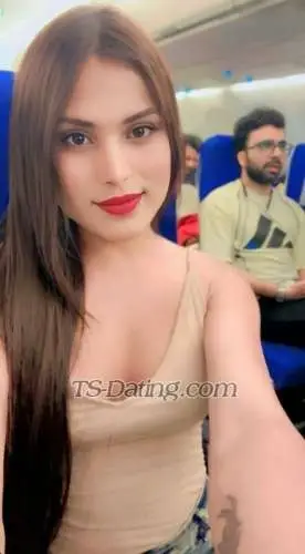 Shemale Mahitransgender 1576238