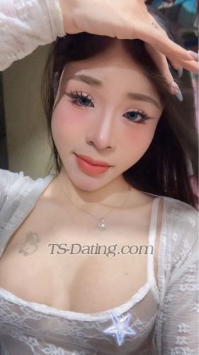 trans girl Mailinh134 8229791