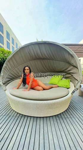 trans girl tsOfUrDreams 7960204 trans girl tsOfUrDreams 7960204