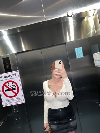 trans girl Marialadyboy 0838097