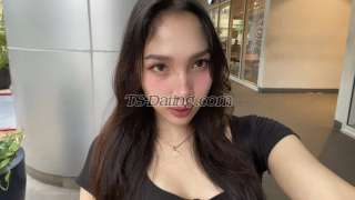 trans girl Maryfoxy 9727103 trans girl Maryfoxy 9727103