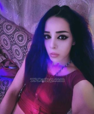trans girl MastersEscor 8741532 trans girl MastersEscor 8741532