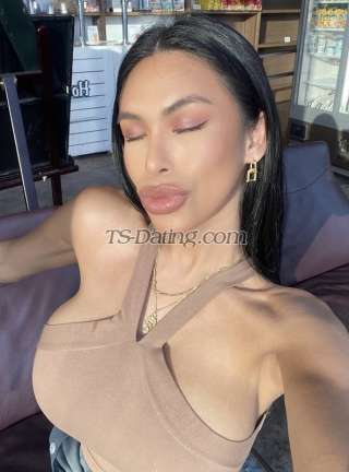 trans girl MeaBraziw 1492921 trans girl MeaBraziw 1492921