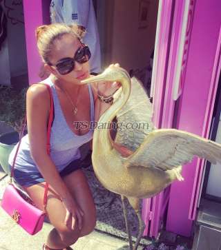 trans girl TransMEA 1029834 trans girl TransMEA 1029834