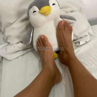 trans girl MiaLiu 1733147 trans girl MiaLiu 1733147