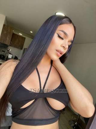 trans girl MiaMontesino 9769197 trans girl MiaMontesino 9769197