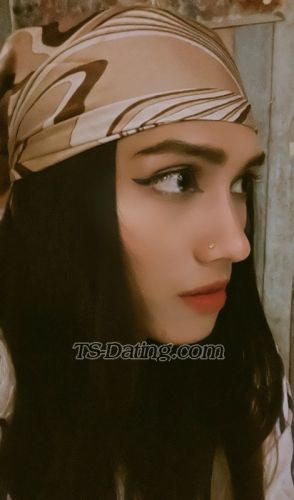 trans girl Michelle190 5354571