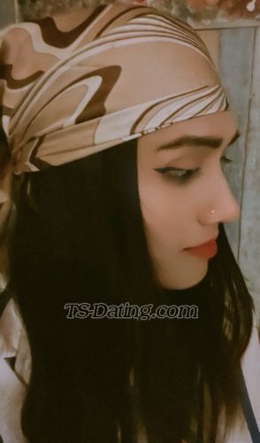 trans girl Michelle190 5354596