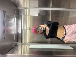 trans girl Michelle190 6878426