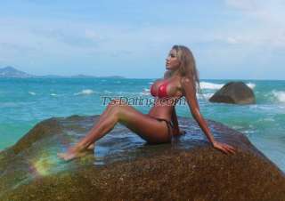 trans girl MichelleBang 5053185 trans girl MichelleBang 5053185