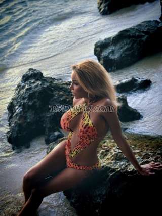 trans girl MichelleBang 5999213 trans girl MichelleBang 5999213