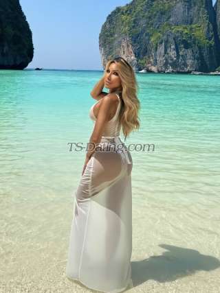 trans girl MichelleBang 9428351 trans girl MichelleBang 9428351