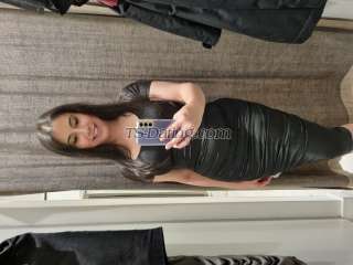 trans girl MichelleMelb 6392738 trans girl MichelleMelb 6392738