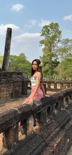 trans girl Micky27 3598204 trans girl Micky27 3598204