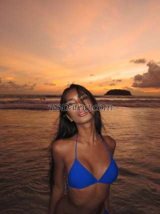 trans girl Micky999 8910963 trans girl Micky999 8910963