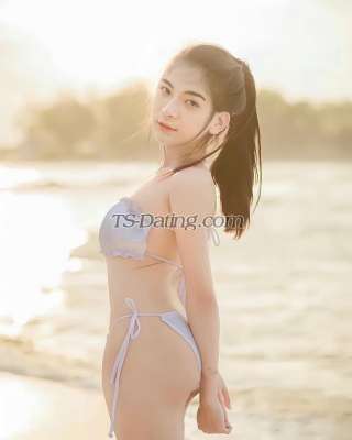 trans girl Migel 7313714 trans girl Migel 7313714