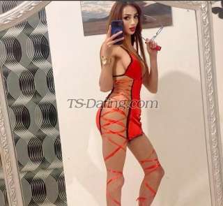 trans girl Minachamck7 8300723 trans girl Minachamck7 8300723