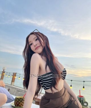 trans girl Mintty 3608227