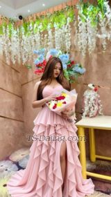 Miss Adaa Noida TS escort 