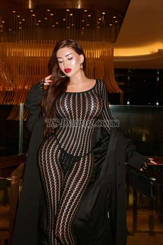 trans girl MissAlana 7701601 trans girl MissAlana 7701601