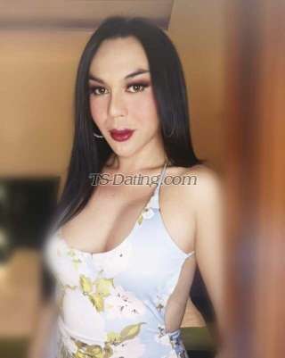 trans girl MissGodiva 4644895 trans girl MissGodiva 4644895