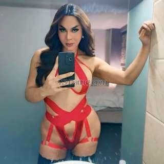 trans girl MissGodiva 5586816 trans girl MissGodiva 5586816