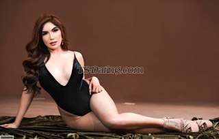 trans girl MissJasmine 7352522 trans girl MissJasmine 7352522