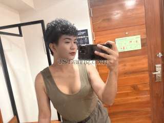 trans girl MissJessy 5051955 trans girl MissJessy 5051955