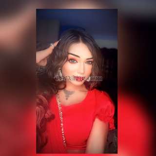 trans girl MissSangeeta 5284441 trans girl MissSangeeta 5284441
