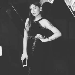 trans girl Missbasu 4803838 trans girl Missbasu 4803838