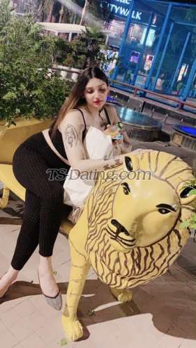 trans girl Missbasu 5818585 trans girl Missbasu 5818585