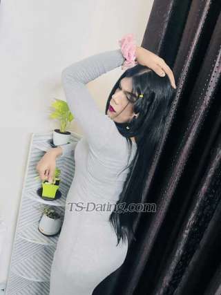 trans girl Misshellina 2652744 trans girl Misshellina 2652744