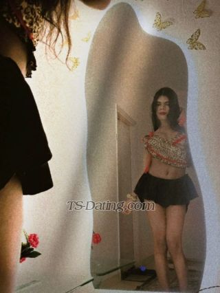 trans girl Misshellina 8544228 trans girl Misshellina 8544228