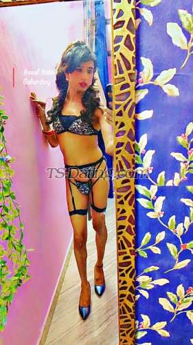 trans girl Misspavitra 8150405 trans girl Misspavitra 8150405