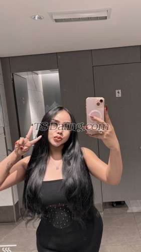 trans girl Missrabeca 3318195 trans girl Missrabeca 3318195