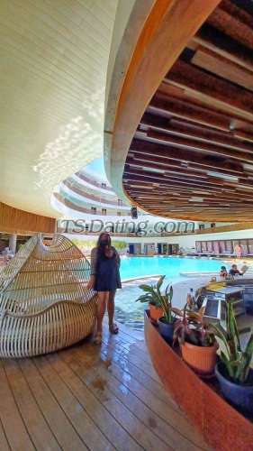 trans girl Mistress318 3566102 trans girl Mistress318 3566102