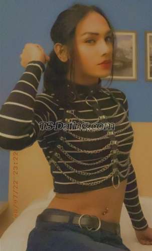 trans girl MistressNaira 0114279 trans girl MistressNaira 0114279