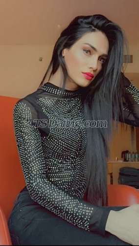 trans girl MistressNaira 4457834 trans girl MistressNaira 4457834