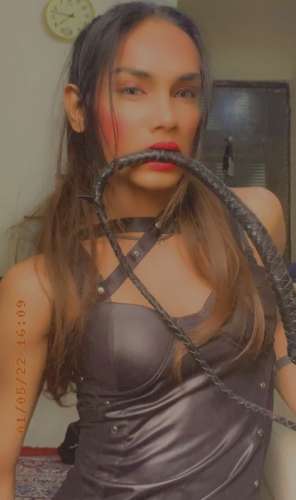 trans girl NairaShaikh 1380537 trans girl NairaShaikh 1380537