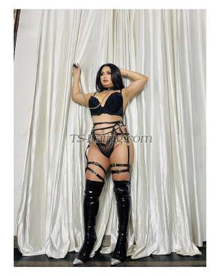 trans girl Mixylee 4280405 trans girl Mixylee 4280405