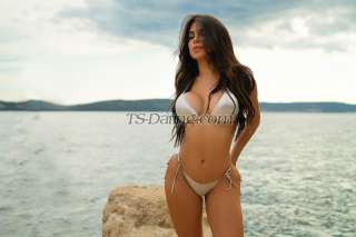 trans girl ModelHayley 5614862 trans girl ModelHayley 5614862