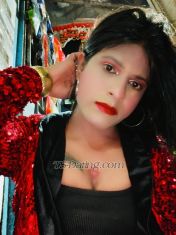 Mohini pandit Ahmedabad Transex XXX WITH THE SOUL
BEST FOR FIRST TIMERS & CURIOUS GUY' Introducing, the newest and kinkiest TS... I am your sexy, dominant fetish and fantasy facilitator...Well versed in the erotic arts and BDSM...I am available to meet you with 34 boobs and 🍌9🍌 cock, and to have you submit to my whims...Toilet training and ass worship and cock drives me wild, and your face, mouth and ass will be welcome for my....relaxation... I am imaginative, inteligent, articulate and concern for your safety, your satisfaction, and most important i understand discretion...I am available for short term and long term engagements, which can be discussed face to face or ( cock/ass to face ).Contact me and let me make your dirtiest fantasies come true... For you nasty, dirty boy's who wants to be my personal toilet, please book a day in advance!!! I want to be sooooooo full for you...All other request on demand... PLUS: A range of otther BDSM activities...only limited by your imagination...

SERVICE ARE AVAILABLE NO:

❤️My services..
❤️Sucking and fucking
❤️Analsex
❤️Body play
❤️Role play
❤️Body massage
❤️Kissing
❤️Cd session
❤️Come mouth
❤️Golden shower
❤️Bdsm
❤️Mistress
❤️Ass licking
❤️69
❤️Girlfriend experience
❤️Home
❤️Deep throat
❤️Rimming (G/t)
❤️All service available any couple. top.bottom. versatile . And I am versatile shemale .Home
❤️Deep throat
❤️Rimming (G/t)
❤️❤️All service available any couple. top.bottom. versatile . And I am versatile shemale .❤️❤️❤️