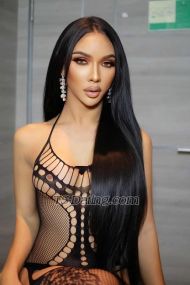 Moji44 Pattaya Transex Line:sofai0709
My whatsapp +66963411796
Good morning my name  moji
I'm here in my pattaya
I'm very elegant classy sexy and nice talking if you looking for a sex dominant time or you liking for a sweet time I can do   everything you want I have 8 inch cock big come big thick and good ass 
❤top 
❤️bottom sub
❤️cum in my mouth my face
❤️suck 69
