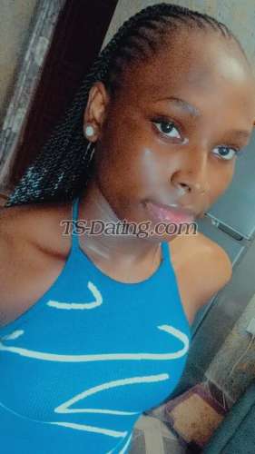 trans girl Molara 5861658 trans girl Molara 5861658